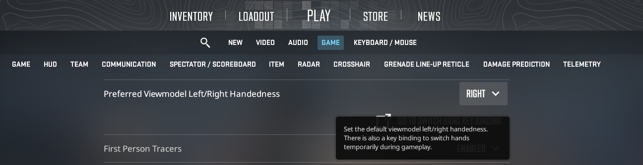permanent hands settings in counter strike